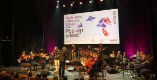 Pop-up orkest, Gigant, 2024, singer songwriters, Bouke Ansing arrangeur, Bouke